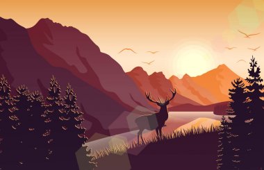 Gün batımı dağ manzarası ile bir Gölü yakınındaki bir ormandaki geyik