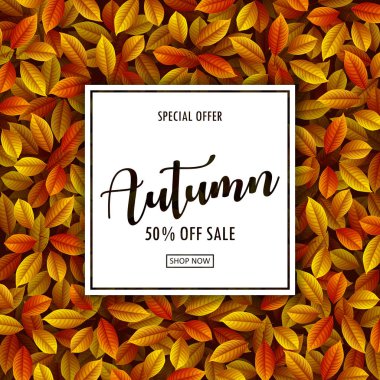 Sonbahar yaprakları ile sonbahar satış arka plan