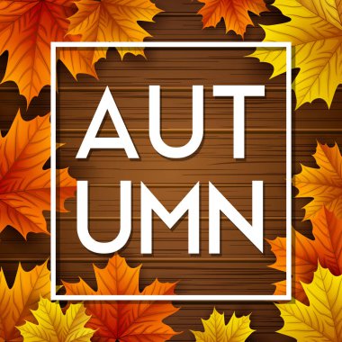 Ahşap arka planda sonbahar yaprakları