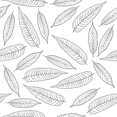 Elle çizilmiş rowan izole üzerinde beyaz arka plan bırakır