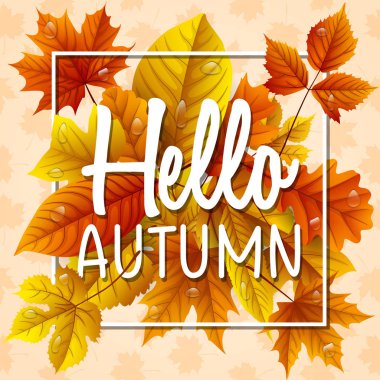 Merhaba sonbahar yaprakları damla su ile