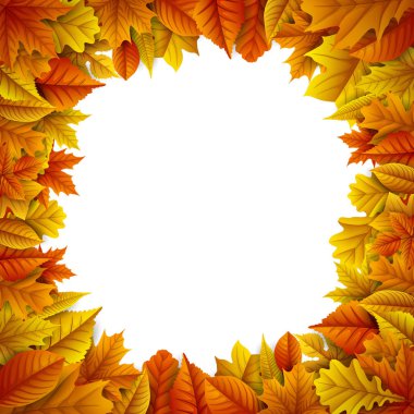 sonbahar yaprakları beyaz arkaplanda izole