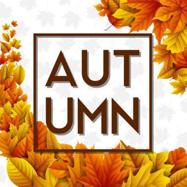 Beyaz arkaplanda sonbahar yaprakları