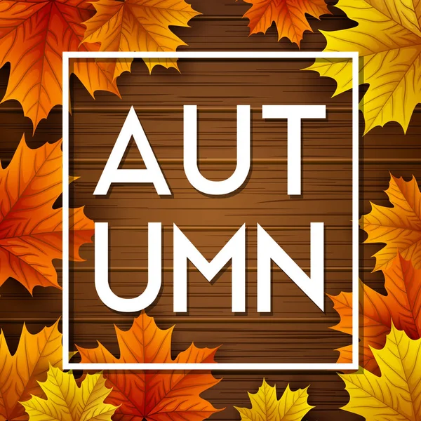 Ahşap arka planda sonbahar yaprakları