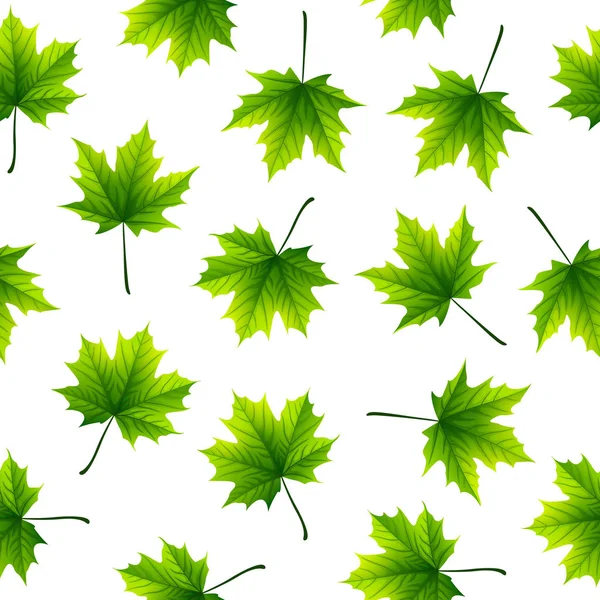 Feuilles Érable Vertes Isolées Sur Fond Blanc — Image vectorielle