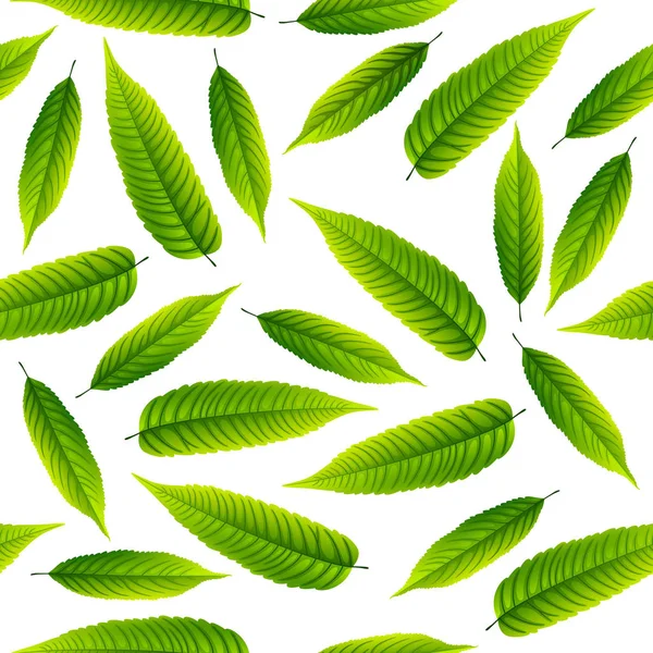 Grüne Ebereschenblätter Isoliert Auf Weißem Hintergrund — Stockvektor