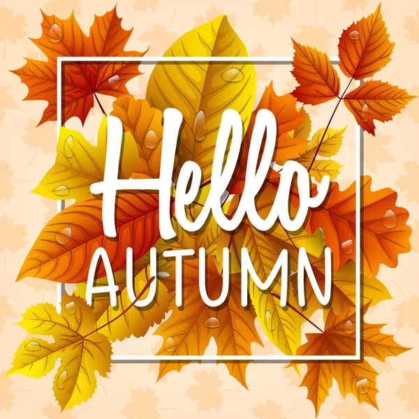 Merhaba sonbahar yaprakları damla su ile