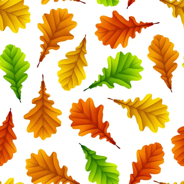 Feuilles Chêne Colorées Isolées Sur Fond Blanc — Image vectorielle