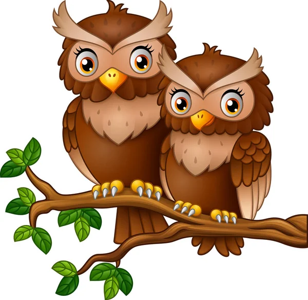 Χαριτωμένο Ζευγάρι Owl Για Κλαδί Δέντρου — Διανυσματικό Αρχείο