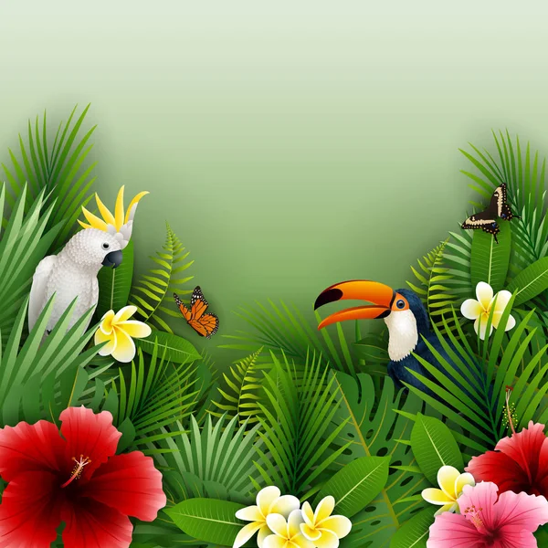 Conjunto Coleta Plantas Aves Tropicais — Vetor de Stock