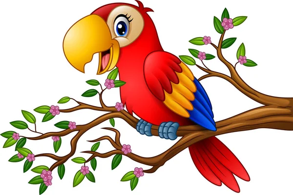 Ağaç Dalı Üzerinde Çizgi Film Amerika Papağanı — Stok Vektör