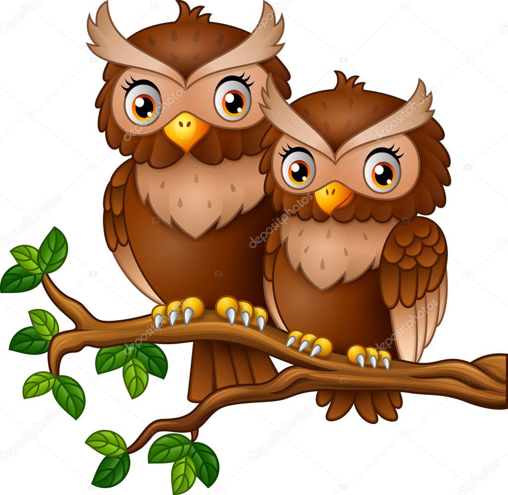 Cute couple owl on the tree branch