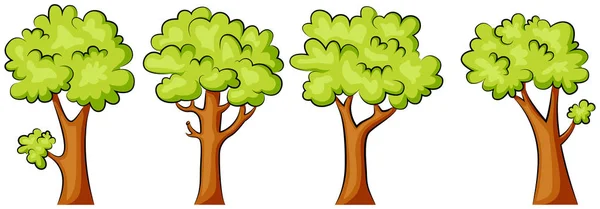 Set Green Trees White Background — Stock Vector