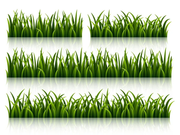 Set Green Grass Isolated White Background — Stock Vector