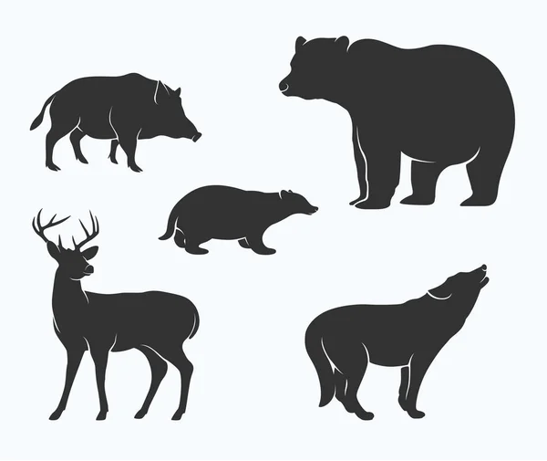 Silhouet Van Wilde Dieren Collectie — Stockvector