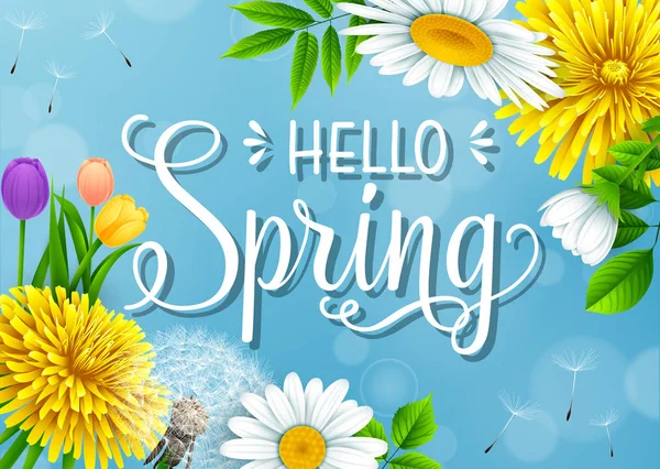 Hello Spring Background Different Flowers Blue Sky Background — Stock Vector