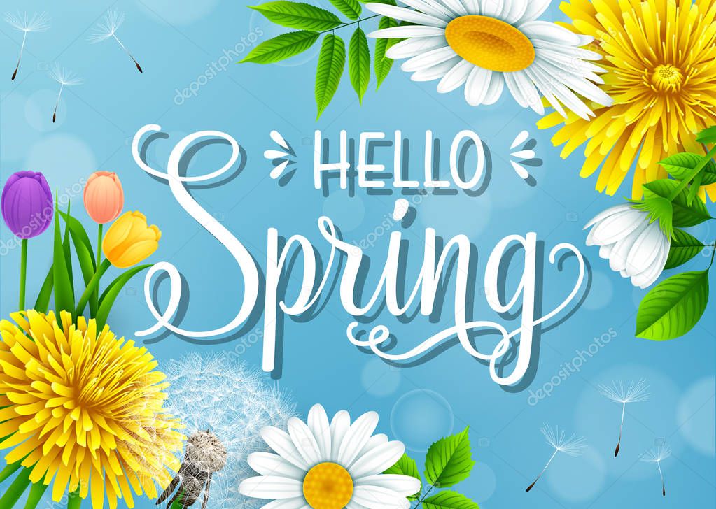 Hello Spring background with different flowers on blue sky background