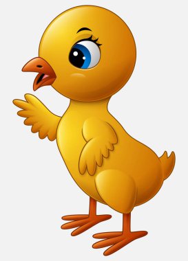 Sevimli çizgi film beyaz bir arka plan üzerinde izole küçük tavuk