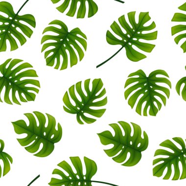 Monstera Dikişsiz desen bırakır. Tropikal palmiye ağacı arka planını bırakır