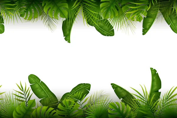 Tropical jungle background with palm trees and leaves on white background