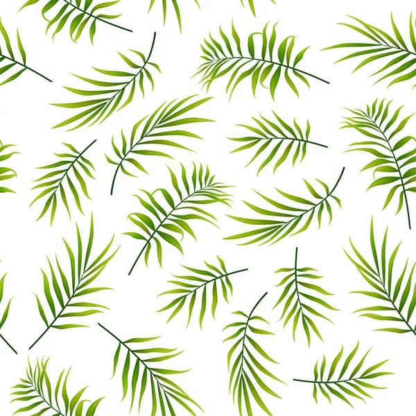 Feuilles Palmier Tropical Motif Sans Couture Sur Fond Blanc — Image vectorielle