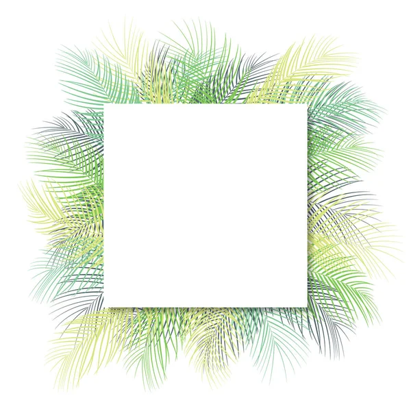 Зеленые Листья Пальмы Белой Рамкой Текста Выделенного Белом Фоне — стоковый вектор