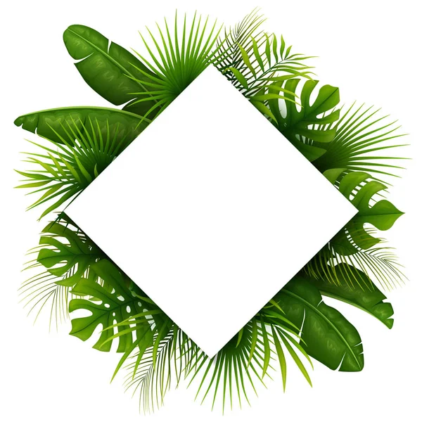 Folhas Verdes Tropicais Com Lugar Quadro Branco Para Texto Isolado — Vetor de Stock