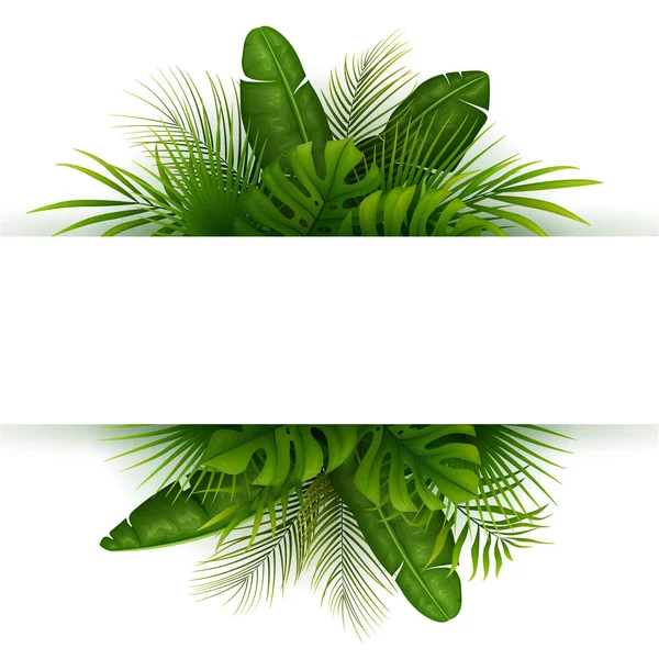 Plantas Folhas Tropicais Com Palmeiras Folhas Sobre Fundo Branco — Vetor de Stock