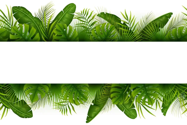 Fundo Selva Tropical Com Palmeiras Folhas Sobre Fundo Branco — Vetor de Stock