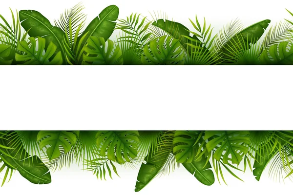 Fondo Selva Tropical Con Palmeras Hojas Sobre Fondo Blanco — Vector de stock