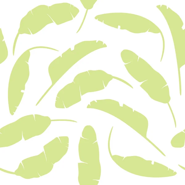 Векторная Иллюстрация Набора Тропических Листьев Банановые Листья Изолированы Зеленый Белом — стоковый вектор