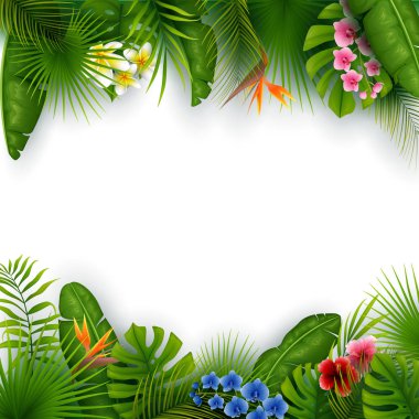 Tropikal yaprak ve çiçek ile yeşil yaz. Beyaz arka plan üzerinde izole
