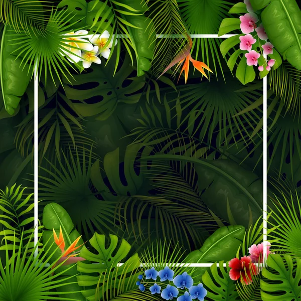 Hojas Tropicales Flores Con Marco Vacío Cuadrado Sobre Fondo Oscuro — Vector de stock