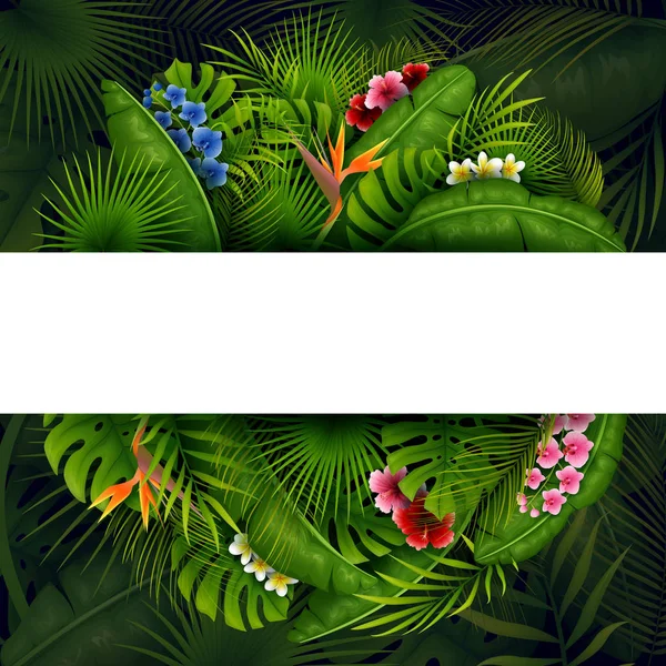 Hojas Tropicales Verdes Flores Follaje Vectorial Con Lugar Para Fondo — Archivo Imágenes Vectoriales