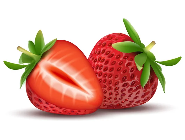 Whole strawberry fruit and sliced segments isolated on white background. Realistic vector illustration — Stock Vector