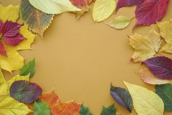 Herfst bladeren op een bruine achtergrond. Vlakke plaat. — Stockfoto
