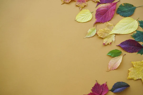 Herfst bladeren op een bruine achtergrond. Kopieerruimte, platte lay. — Stockfoto