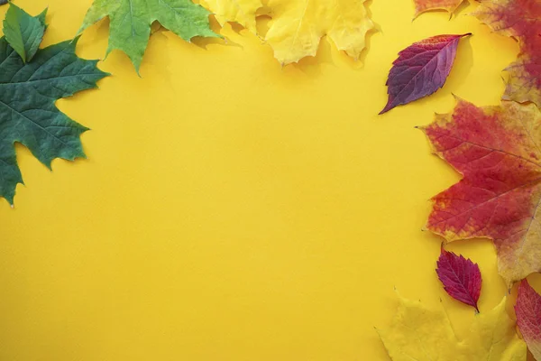 秋天五彩缤纷的树叶落在黄色的背景上. — 图库照片