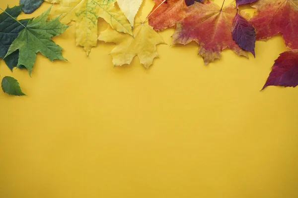 Herfst kleurrijke bladeren op een gele achtergrond. Vlakke plaat. — Stockfoto