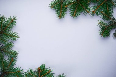 Noel konsepti. Bir Noel ağacının yeşil dalları, gri bir zemin üzerinde, yazı için yeri olan, düz uzanan.