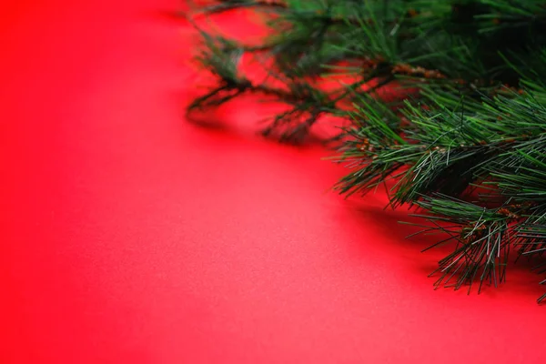 Koncepcja świąt. Choinka gałęzie na czerwonym tle z miejscem na tekst. — Zdjęcie stockowe