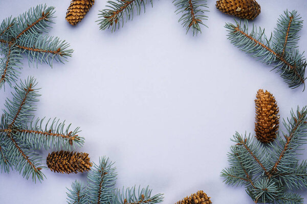 Christmas concept. Branches of blue pine with cones on a gray background, with place for text top view. Flat lay.