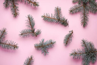 Noel konsepti. Mavi ladin dalları, hafif pembe arka planda, üst manzara..