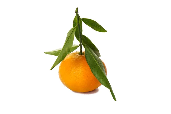Tangerine med leaf isolerad på vit bakgrund — Stockfoto
