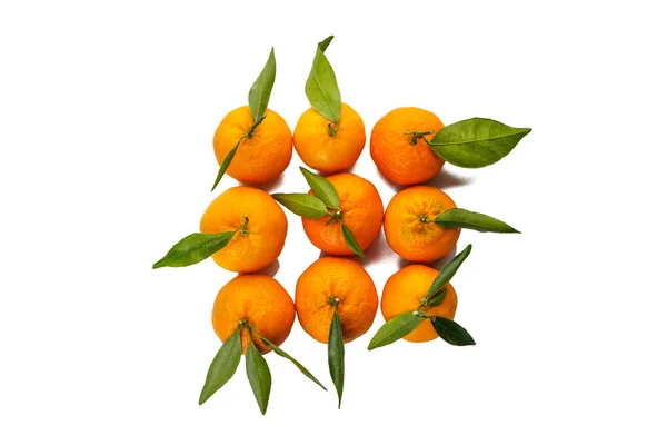 Mandarinen Früchte mit frischen Blättern isoliert auf weißem Hintergrund flach liegen. — Stockfoto