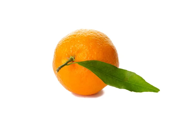 Mandarina con hoja aislada sobre fondo blanco — Foto de Stock