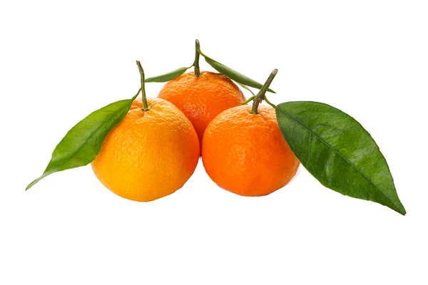 Mandarinen Früchte mit frischen Blättern isoliert auf weißem Hintergrund — Stockfoto