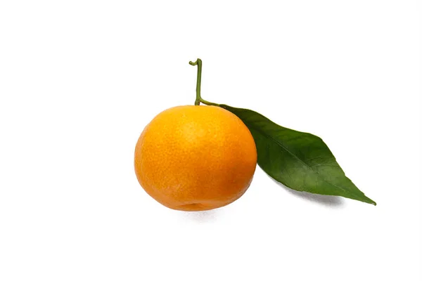 Tangerine with leaf isolated on white background close-up. — Stock Photo, Image