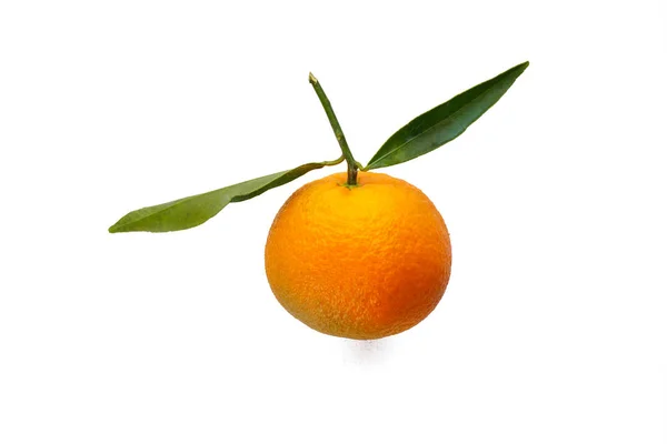 Tangerine with leaf isolated on white background close-up. — Stock Photo, Image