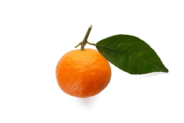 Mandarina con hoja aislada sobre fondo blanco de cerca . — Foto de Stock